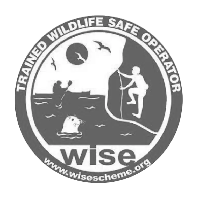 Watching Marine Wildlife-safe way